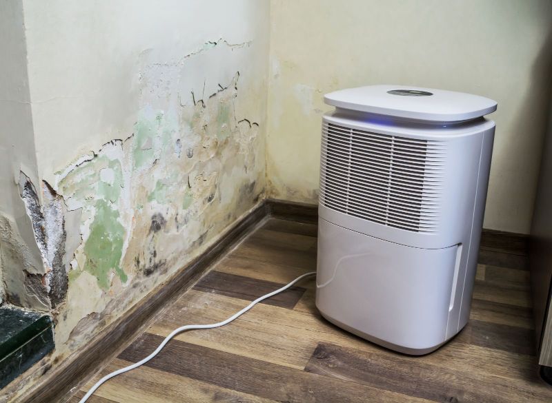 Dehumidification 101: How to Prevent Mold After Water Damage