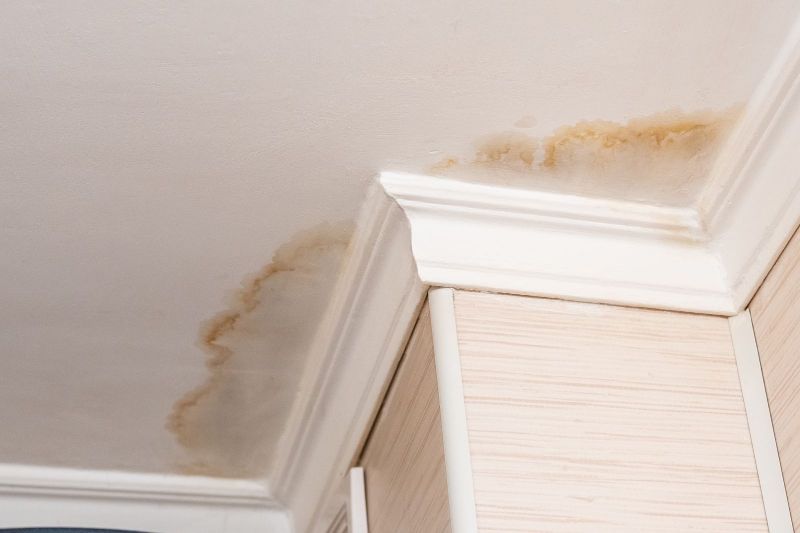 Preventing Mold Damage: Tips for a Healthy Home