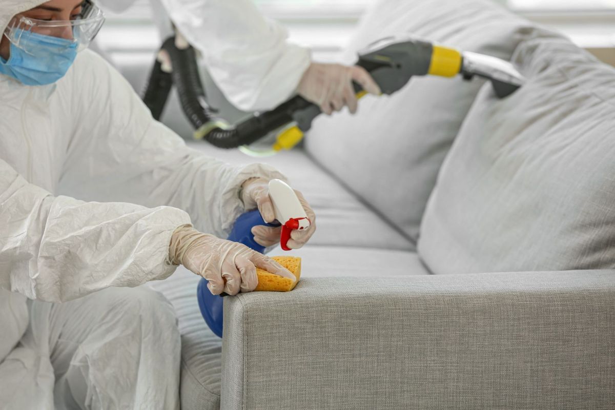 Reasons Why You May Need A Professional Biohazard Cleanup Crew