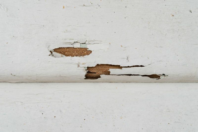 Home Corrosion Control: Tips and Tricks for Protecting Your Property.