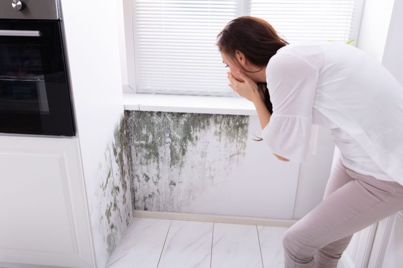 Here’s What You Need To Know About The Dangers Of Mold In Your Home